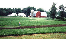 Nordic Ridge Gardens, Bovey Minnesota