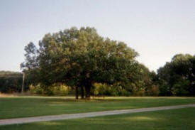 Elks Point Campground, Fergus Falls Minnesota