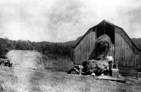 Typical haying scene, Nikolai's barn, Finland, Minnesota, 1925