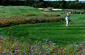 Pezhekee Golf Course, Glenwood Minnesota