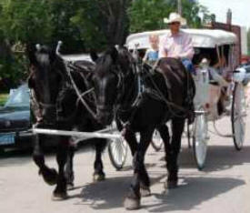 Alpine Carriages, Glyndon Minnesota