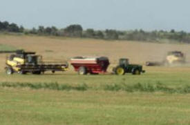 Wilson Harvesting, Goodridge Minnesota