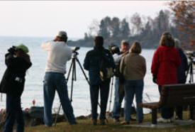 Boreal Birding and Northern Landscapes Festival, Grand Marais Minnesota