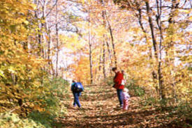 McFarland Lake Campground near Hovland Minnesota