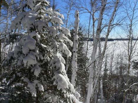 Snow Day - Winter Scene on Deer Lake, Grand Rapids Minnesota, 2007