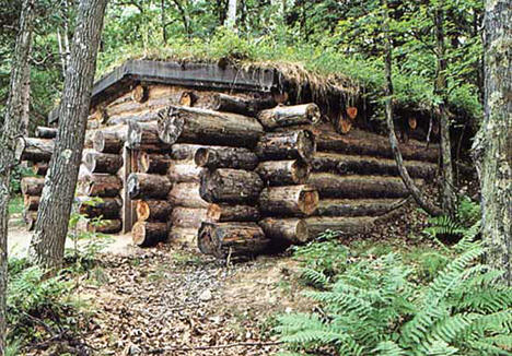 Forest History Center, Grand Rapids Minnesota, 1980