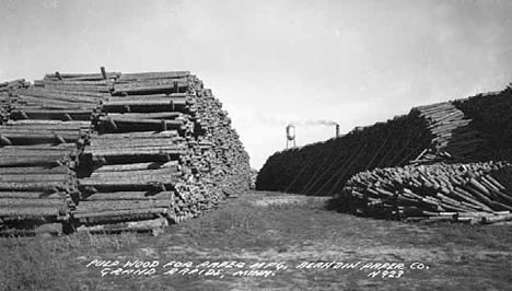 Pulpwood, Blandin Paper Company, Grand Rapids Minnesota, 1935