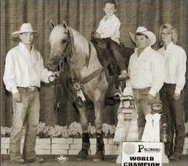 Wojo's Horse Training, Greenbush Minnesota