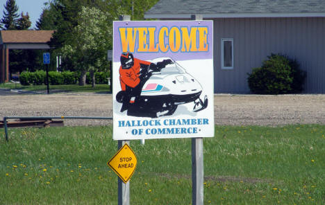 Snowmobiler Welcome Sign, Hallock Minnesota, 2008