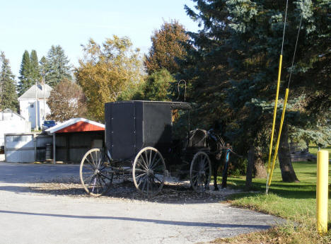 Amish horse and buggy, Harmony Minnesota, 2009