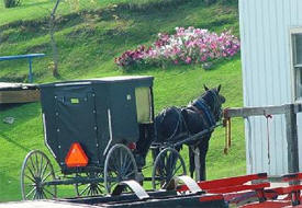 Amish Tours of Harmony Minnesota