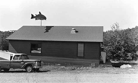 Styrofoam fish on roof of Chicago Bay Café, Hovland Minnesota, 1975