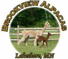 Brookview Alpacas, Lake Shore Minnesota