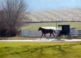 R & M Amish Tours, Lanesboro Minnesota