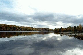 view of Lax Lake in Minnesota