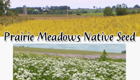 Prairie Meadows Native Seed, Lonsdale Minnesota