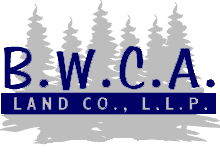 BWCA Land Company, Lutsen Minnesota