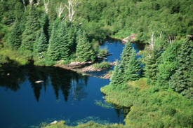 Superior National Forest