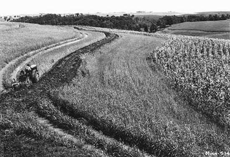 Contour plowing near Millville, Wabasha County, 1937