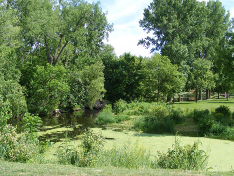 Cannon River, Morristown Minnesota, 2010