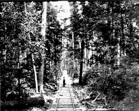 Railroad near Nebish Minnesota around 1900