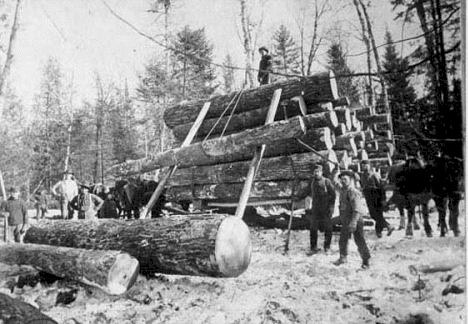 Logging near Nebish Minnesota around 1900