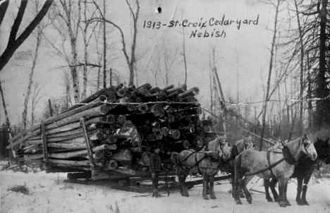 St. Croix Cedar Camp at Nebish Minnesota, 1913