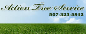 Action Tree Service, Nerstrand Minnesota