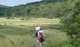 Revels Ranch, Nerstrand Minnesota