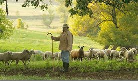 Shepherd's Way Farms, Nerstrand Minnesota