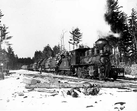 Logging train of the Brainerd Lumber Company near Nisswa Minnesota, 1901