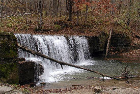 Nerstrand Big Woods State Park, Northfield Minnesota