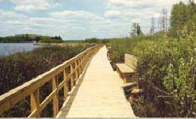 Orr Bog Walk