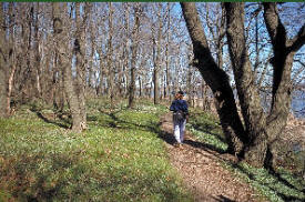 Rice Lake State Park. Owatonna Minnesota