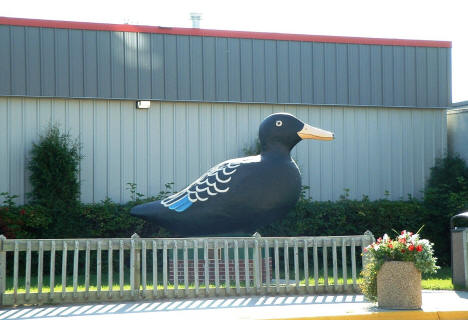 Original Black Duck in Downtown Blackduck Minnesota, 2004