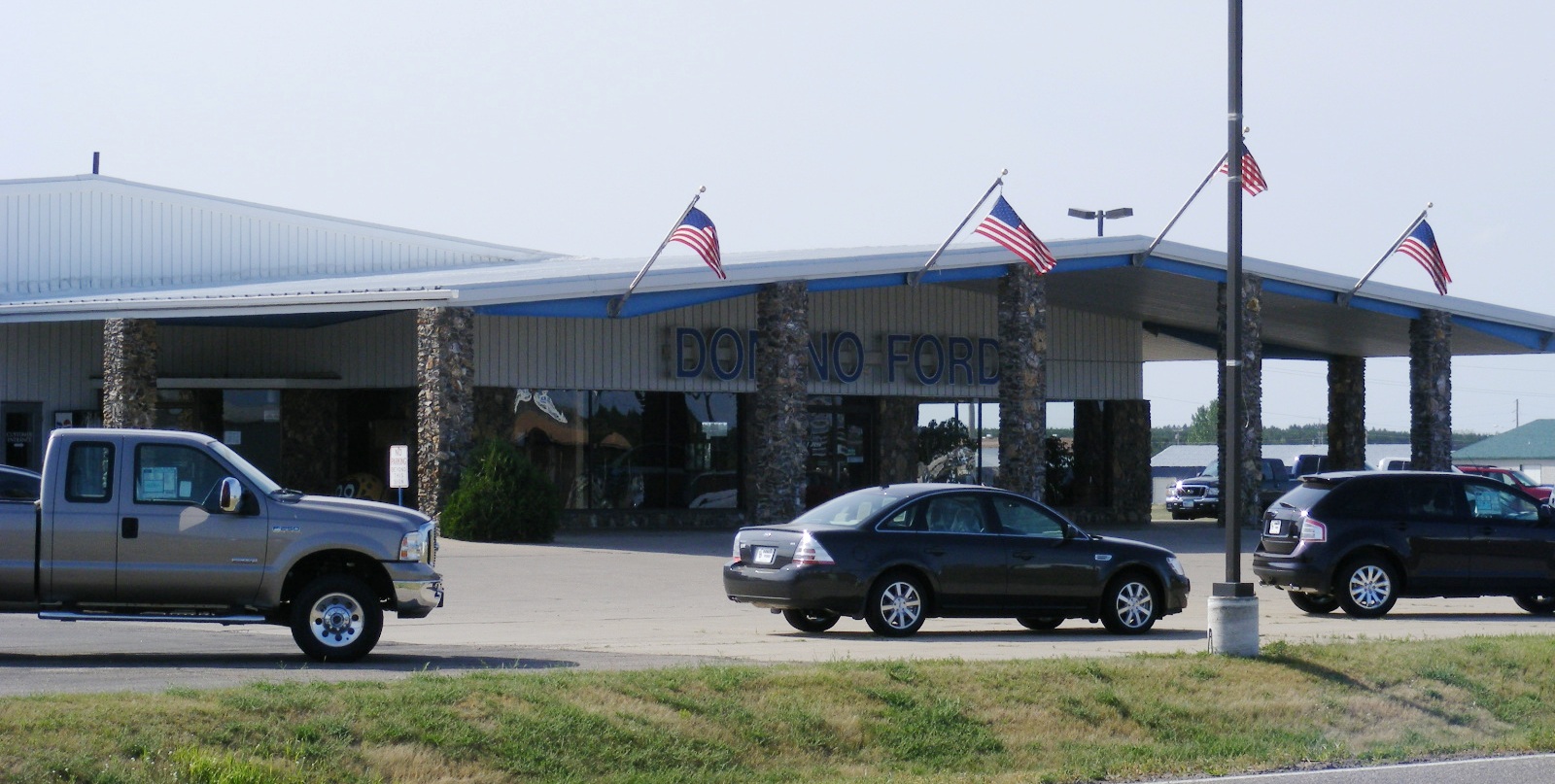 Domino ford mn #10