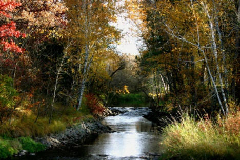 Skunk River in the Fall near Pierz Minnesota, 2006