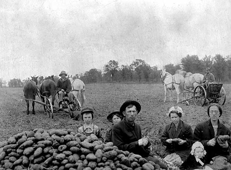 Potato planters, Princeton Minnesota, 1920