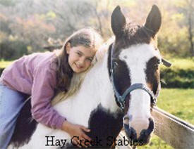 Hay Creek Stables, Red Wing Minnesota