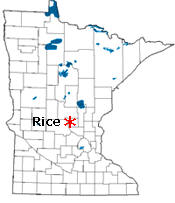 Location of Rice Minnesota