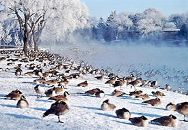 Silver Lake, Rochester Minnesota