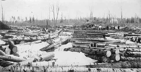 Hawood Sawmill at Roosevelt Minnesota, 1890