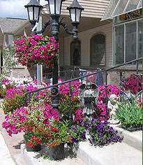 Carol's Cedar Cellar, Roseau Minnesota