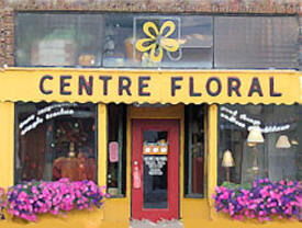 Centre Floral, Sauk Centre Minnesota