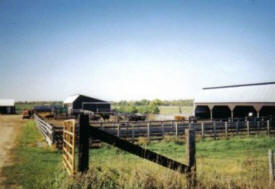 Scepaniak Family Farm, Bowlus Minnesota