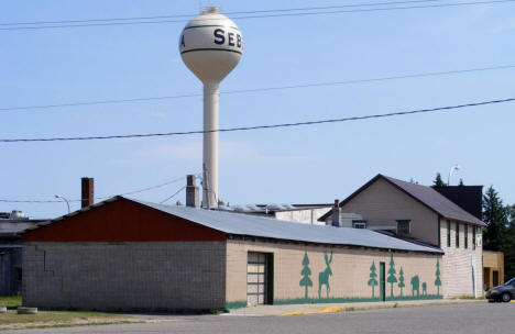 Street view, Sebeka Minnesota, 2007