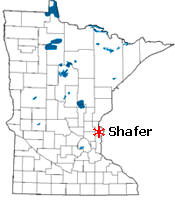 Location of Shafer Minnesota
