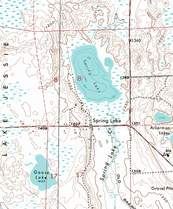 Topographic map of the Spring Park Minnesota area