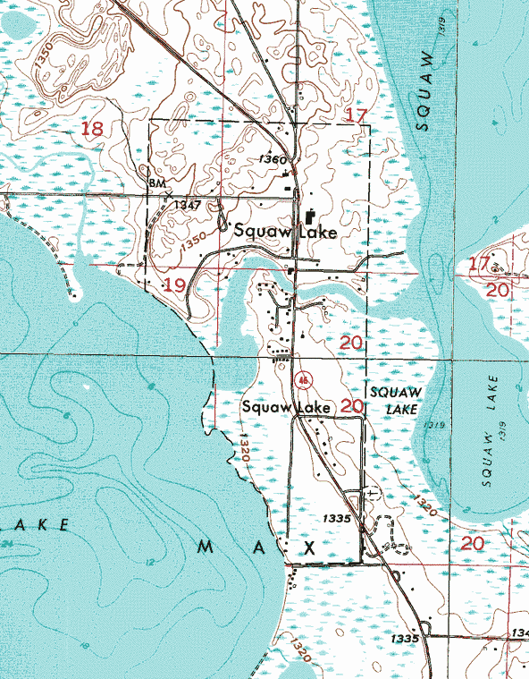 Topographic map of the Squaw Lake Minnesota area