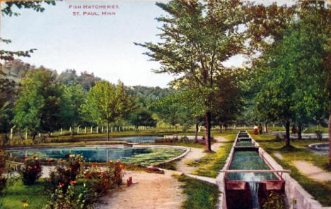 Fish Hatcheries, St. Paul Minnesota, 1910